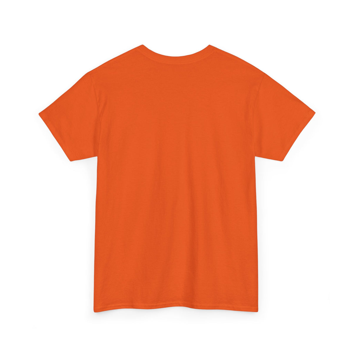 Two-Bit American Rock T-Shirt — Vintage Guitar Band Tee