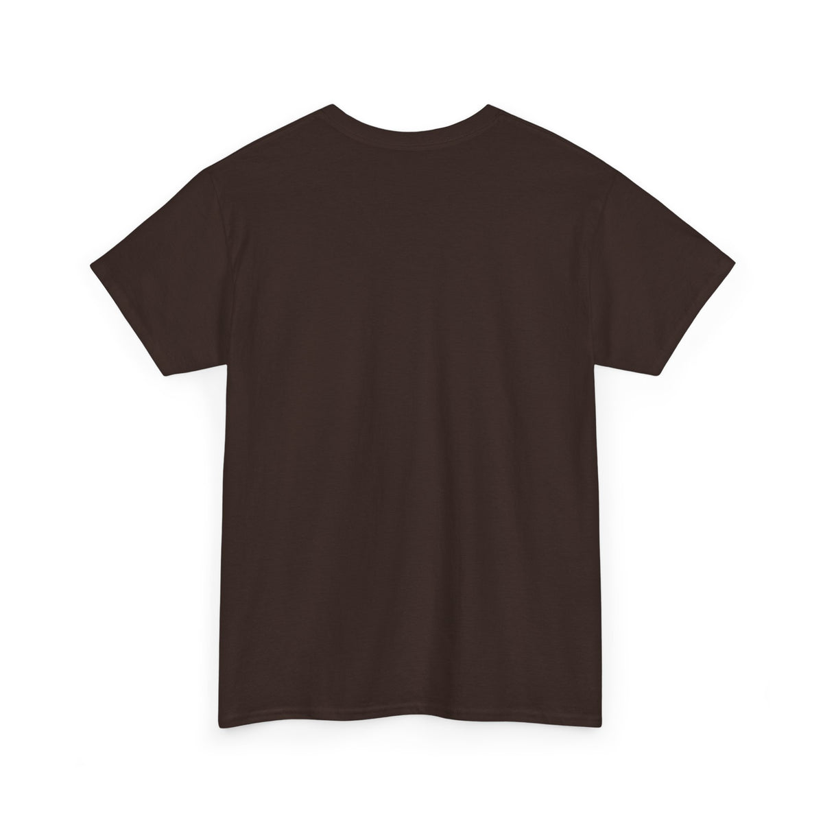 Two-Bit American Rock T-Shirt — Vintage Guitar Band Tee