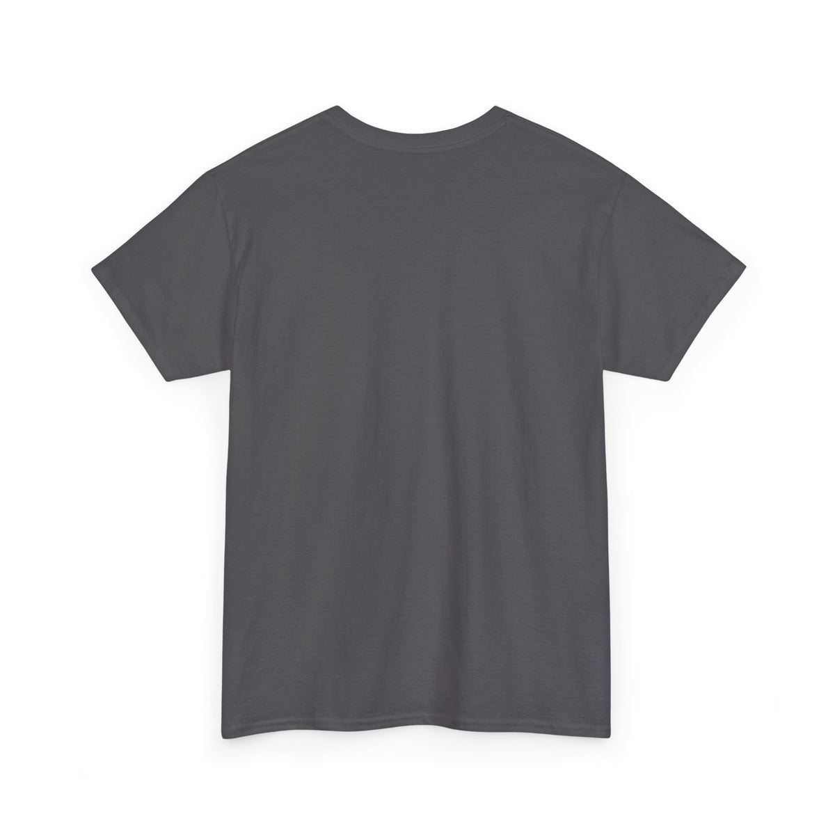 Two-Bit American Rock T-Shirt — Vintage Guitar Band Tee
