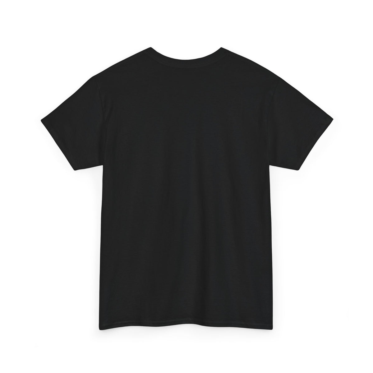Two-Bit American Rock T-Shirt — Vintage Guitar Band Tee